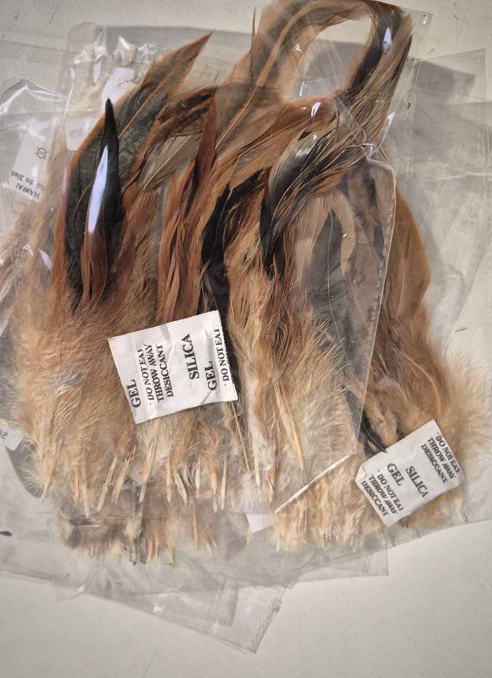 100 Federn im Paket DIY klein 10-15cm