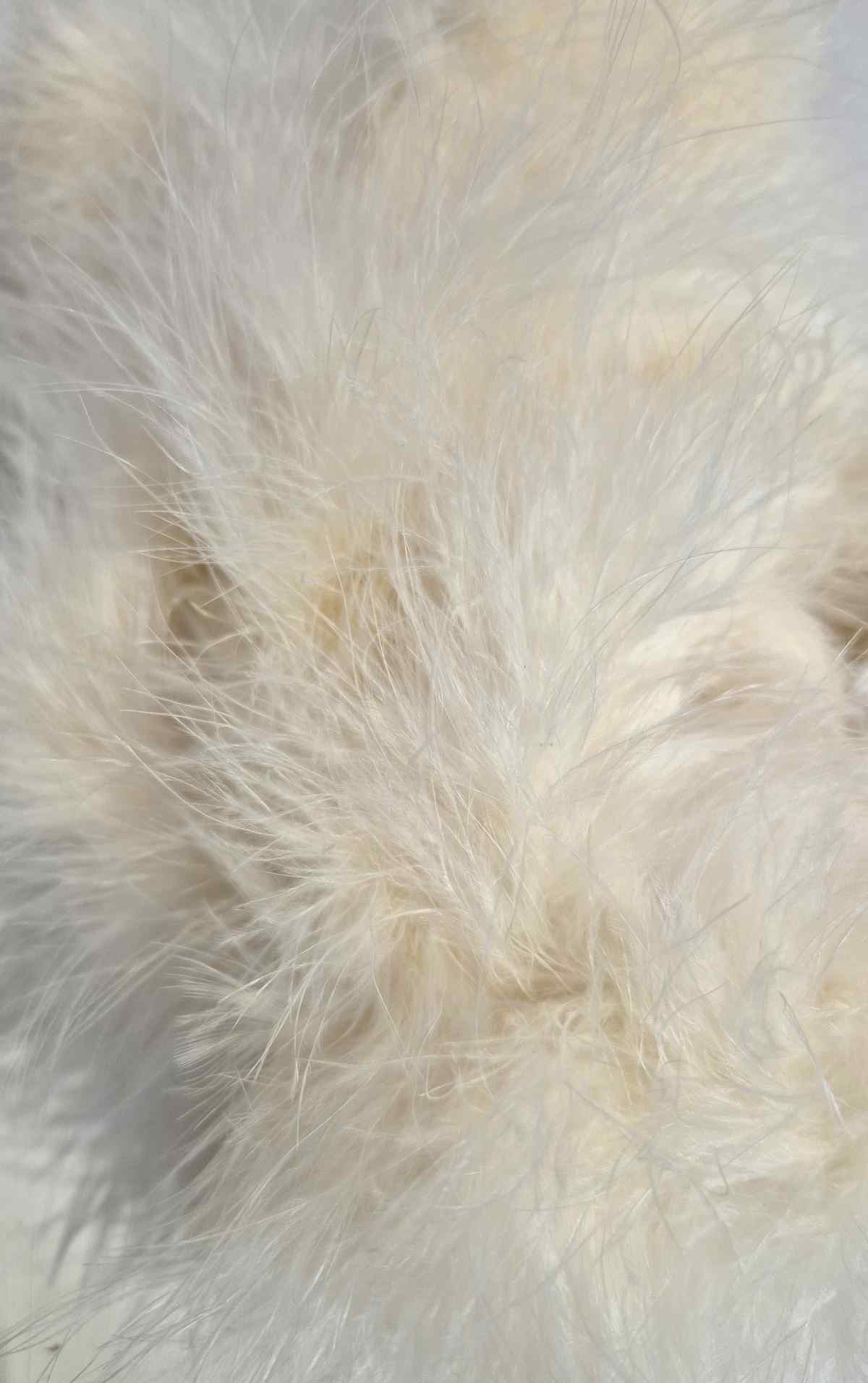 Marabout Boa Langhaar creme