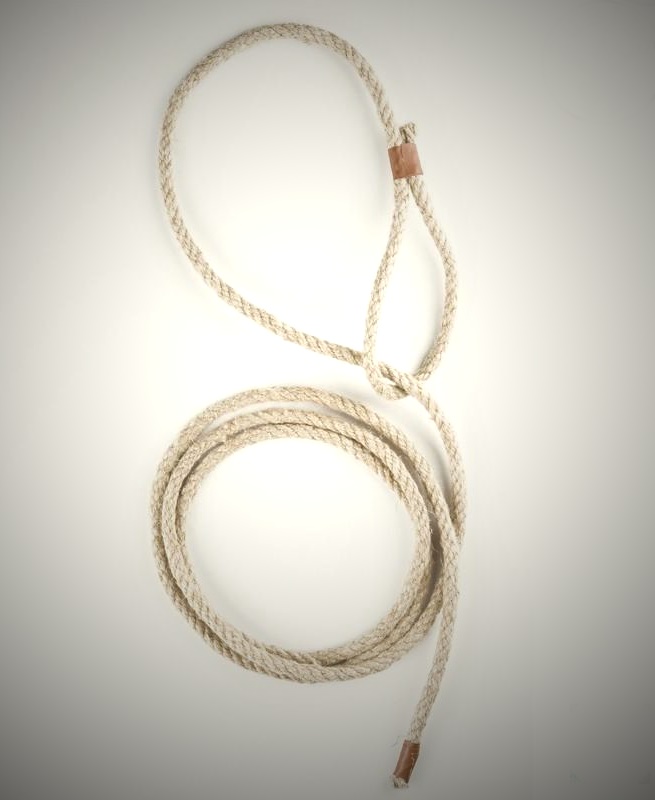 lasso-cowboy-karneval-lustig