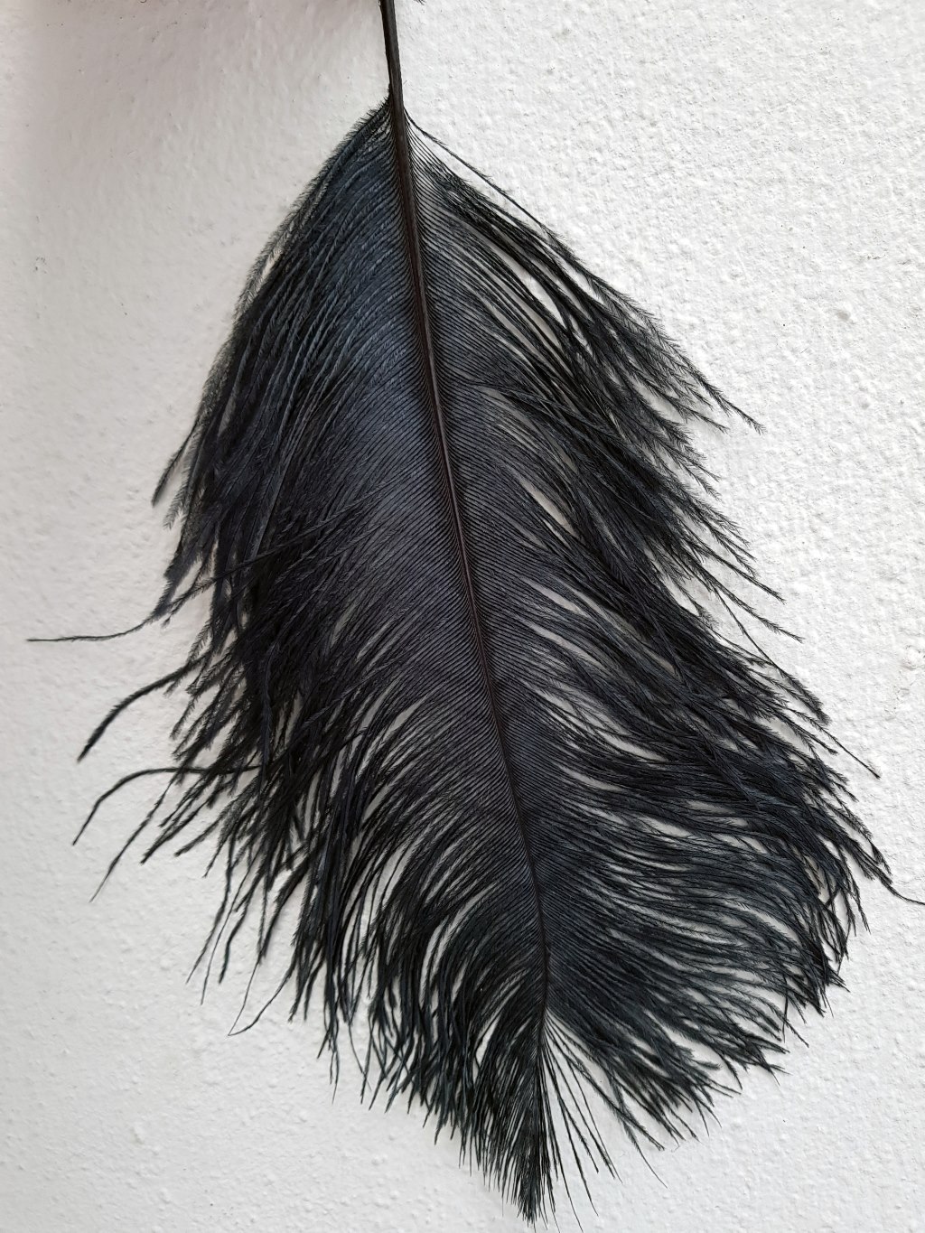 Party Discount Straußenfeder 50-60 Cm Schwarz – Für Deko, Kostüme & Basteln, Tierischen Ursprungs